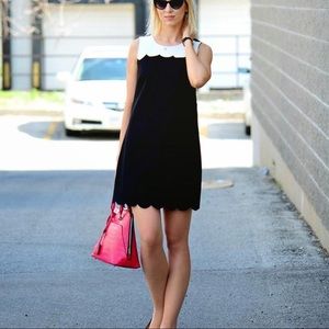 JCrew Scallop Dress